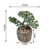 9inches Artificial Tree Stump Planter Pot & Burros Tail Succulent Plant