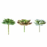 3 Pack | 3inches Artificial PVC Echeveria Orion Decorative Succulent Plants#whtbkgd