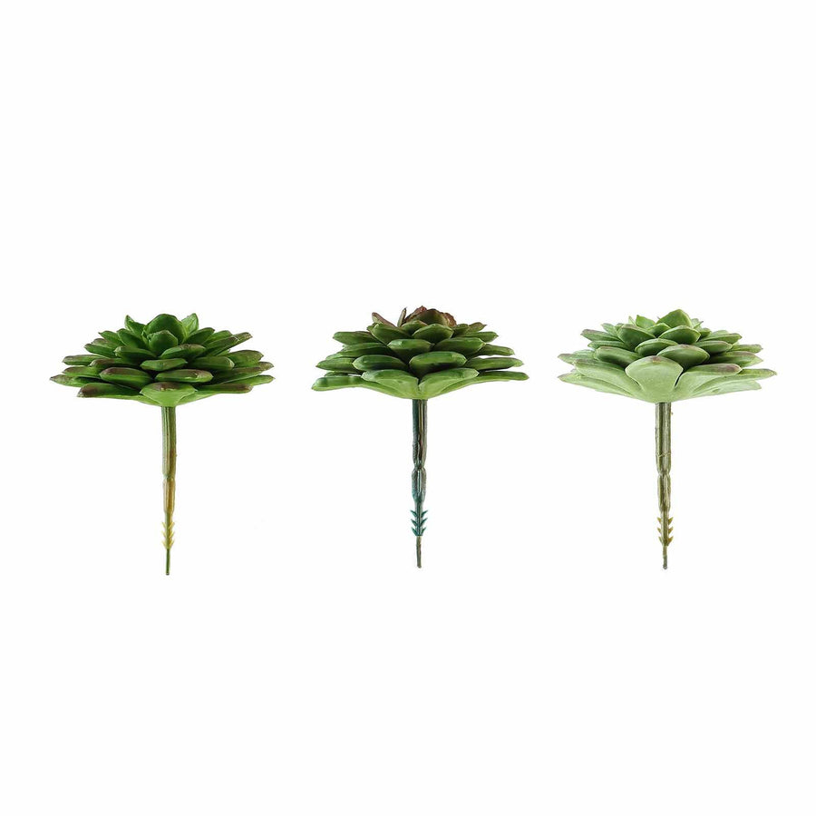 3 Pack | 3inches Artificial PVC Parva Echeveria Decorative Succulent Plants#whtbkgd