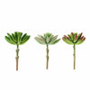 3 Pack | 6inches Artificial PVC Spike Aeonium Decorative Succulent Plants#whtbkgd