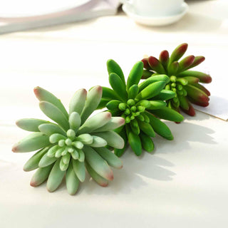 Add a Splash of Vibrant Green with our 3 Pack | 6" Artificial PVC Spike Aeonium Decorative Succulent Plants