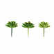 3 Pack | 3inches Artificial PVC Roundleaf Echeveria Stem Succulent Plants#whtbkgd