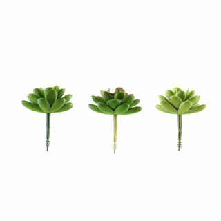 Elevate Your Décor with Artificial Succulent Plants