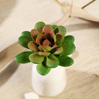 Add a Pop of Color with the 3 Pack of Artificial PVC Roundleaf Echeveria Stem Succulent Plants