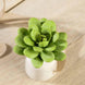 3 Pack | 3inches Artificial PVC Roundleaf Echeveria Stem Succulent Plants
