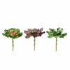 3 Pack | 6inches Artificial PVC Wavy Kalanchoe Decorative Succulent Plants#whtbkgd