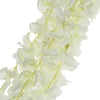 42inches Cream Artificial Silk Hanging Wisteria Flower Garland Vines#whtbkgd