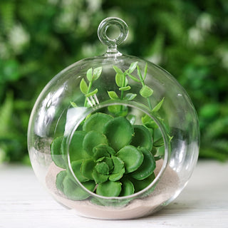 4 Pack | 4" Air Plant Hanging Glass Globe Terrarium - Add a Touch of Elegance to Your Event Decor