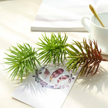 3 Pack | 7" Artificial PVC Spike Crassula Decorative Succulent Plants