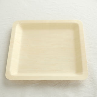 Convenient and Sustainable Picnic Plates