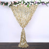 8ftx8ft Champagne Big Payette Sequin Photography Booth Backdrop