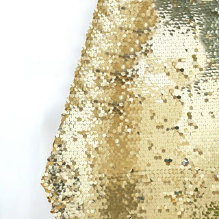 Champagne Big Payette Sequin Backdrop Stand Cover