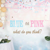 8ftx8ft Gender Reveal "Blue Or Pink" Vinyl Photo Shoot Backdrop
