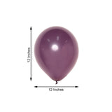 25 Pack | 12inches Matte Pastel Eggplant Helium or Air Latex Party Balloons
