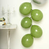 25 Pack | 12inch Matte Pastel Moss Green Helium/Air Latex Party Balloons