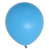 10 Pack | 18inch Matte Pastel Blue Helium or Air Latex Party Balloons#whtbkgd