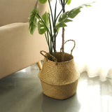 Set of 2 | Natural Seagrass Plant Baskets, Wicker Hand Woven Straw Planter With Handles