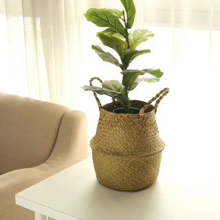 Natural Seagrass Plant Baskets - Perfect for Eco-Friendly Home Decor