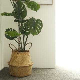 Enhance Your Space with Natural Seagrass Plant Baskets