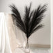 3 Stems | 44inch Black Artificial Pampas Grass Plant Sprays, Faux Branches Vase Flower Arrangement