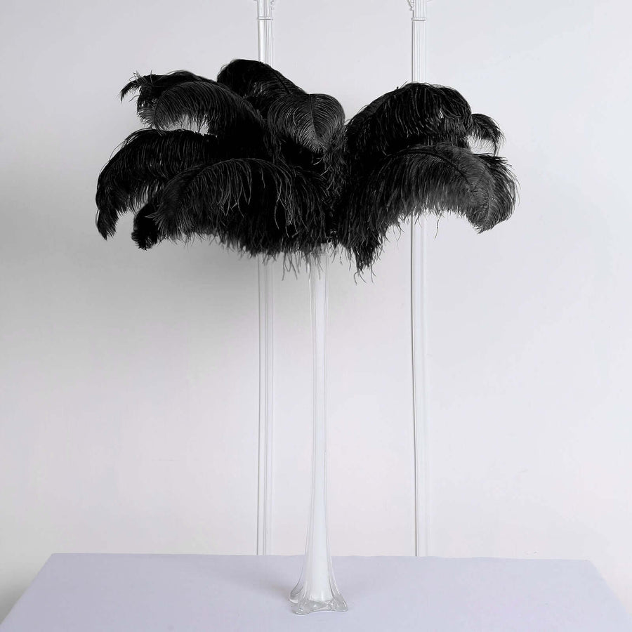 Set of 12 | 24"-26" Black Natural Plume Ostrich Feathers Centerpiece