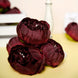 10 Pack | 3inch Burgundy Artificial Silk DIY Craft Peony Flower Heads