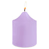 12 Pack | 2inch Lavender Lilac Votive Candles, Mini Multi-Purpose Candle Decor#whtbkgd