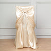 Beige Universal Satin Chair Cover