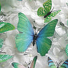12 Pack | 3D Butterfly Wall Decals, DIY Stickers Decor - Green Collection