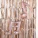 8ft Rose Gold Metallic Tinsel Foil Fringe Doorway Curtain Party Backdrop