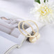 Pack of 2 | Champagne Magnetic Curtain Tie Backs for Window Curtains and Drapes