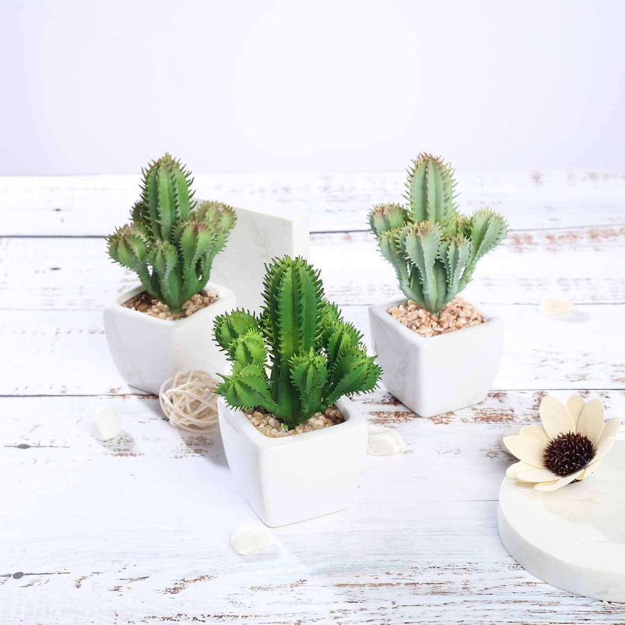 3 Pack | 5inches Ceramic Planter Pot & Artificial Cacti Succulent Plants