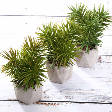 3 Pack | 8" Ceramic Planter Pot and Artificial Crassula Succulent Plants