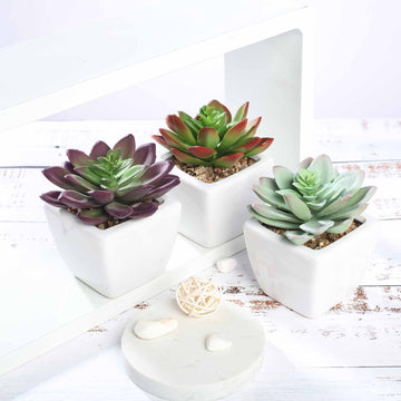 3 Pack | 4" Ceramic Planter Pot and Artificial Echeveria Elegans Plants