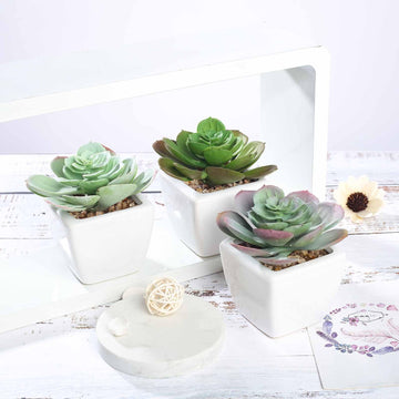 3 Pack | 4" Ceramic Planter Pot and Artificial Echeveria Succulent Plant