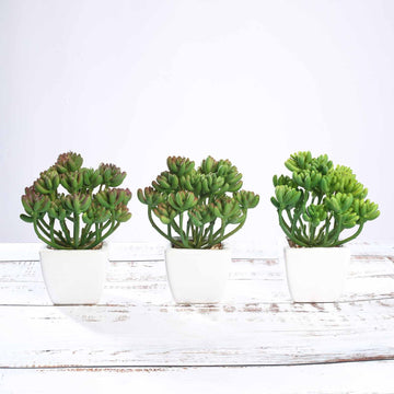 3 Pack | 7" Ceramic Planter Pot and Artificial Stonecrop Succulent Plant