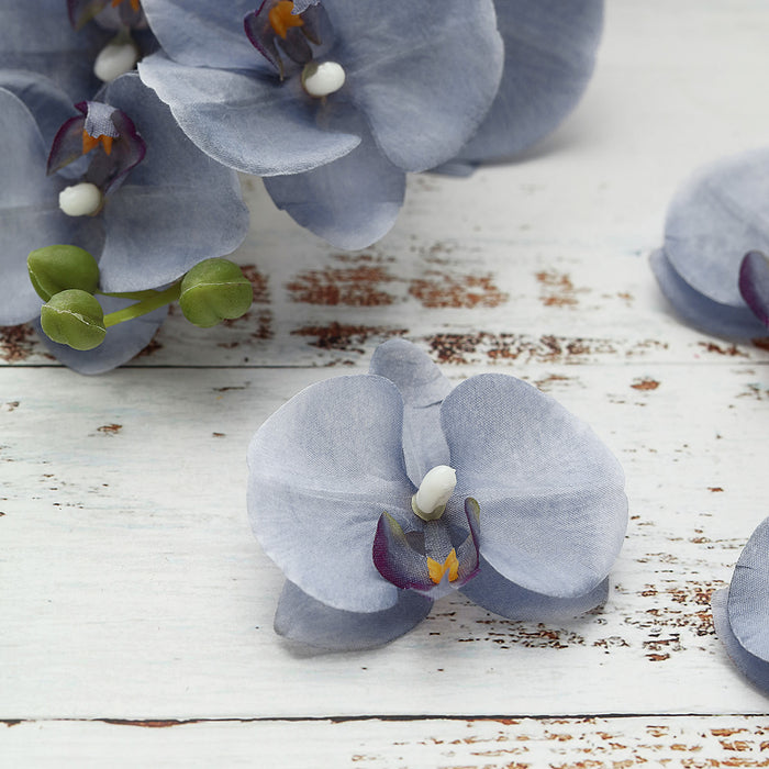20 Flower Heads | 4inch Charcoal Gray Artificial Silk Orchids DIY Crafts#whtbkgd