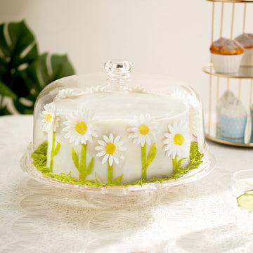 12" Clear Acrylic Cake Plate Stand and Dome Lid, Multipurpose Serving Dish