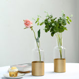 2 Pack | 10inch Clear Glass Vases | Bud Vases | Gold Dipped Bottle Vase
