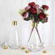 2 Pack - 14inch Glass Flower Vase | Glass Bottle | Decorative Glass Jars