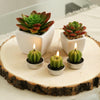 3 Pack | 4inches Ceramic Planter Pot & Artificial Echeveria Elegans Plants