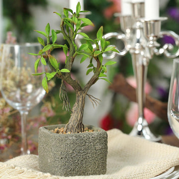 9" Concrete Planter Pot and Artificial Willow Tree Succulent Plant
