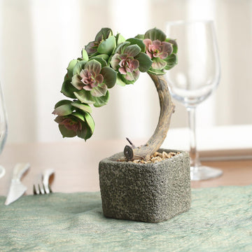 8" Concrete Planter Pot, Artificial Perle Von Nurnberg Succulent Plant