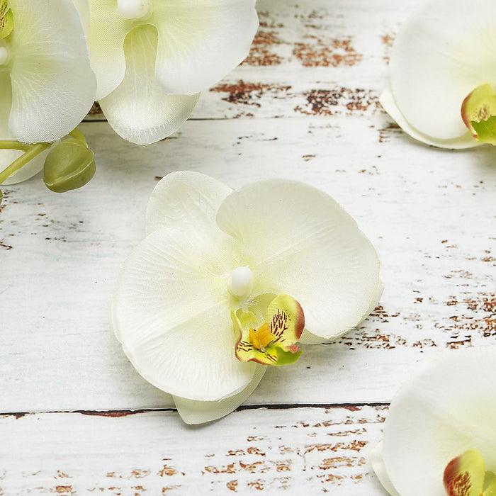 20 Flower Heads | 4inch Cream Artificial Silk Orchids DIY Crafts#whtbkgd