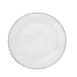 10 Pack | 10inch Clear / Silver Beaded Rim Disposable Dinner Plates#whtbkgd