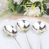 Glossy Silver Heavy Duty Plastic Silverware Spoons Cutlery, Premium Disposable Sleek Flatware