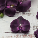 20 Flower Heads | 4inch Eggplant Artificial Silk Orchids DIY Crafts#whtbkgd