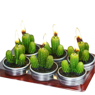 6 Pack | Aguacolla Cactus Tea Light Candles in PVC Box - The Perfect Gift or Party Favor