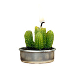 6 Pack | Aguacolla Cactus Tea Light Candles in PVC Box