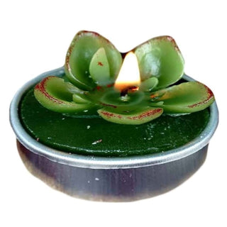 Practical and Adorable Wedding Favors - Echeveria Cactus Tea Light Candles